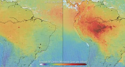 The Burning Truth: Why the Amazon fire- and others like it- should be a larger concern to our planet
