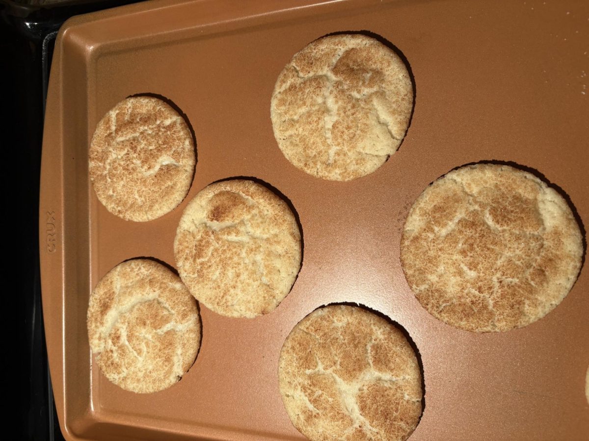 Enjoy Maggie's Snickerdoodles