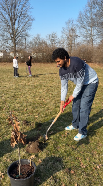 Navigation to Story: APES Students Encourage Environmental Awareness by Planting Trees Outside Indian Springs