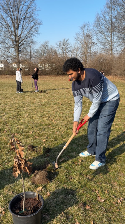 APES Students Encourage Environmental Awareness by Planting Trees Outside Indian Springs