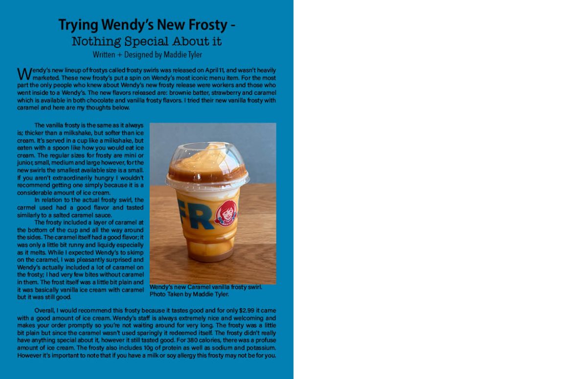 Wendy's New Frosty Review