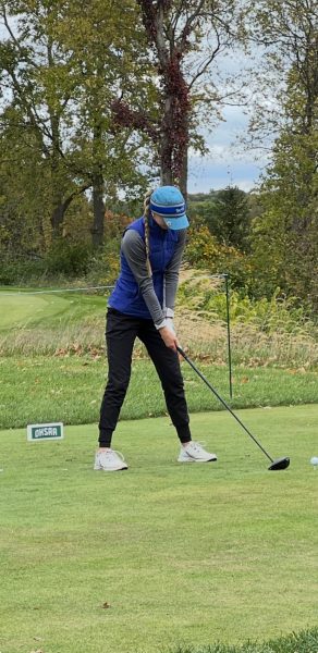 Navigation to Story: Aronhalt Swings into Success